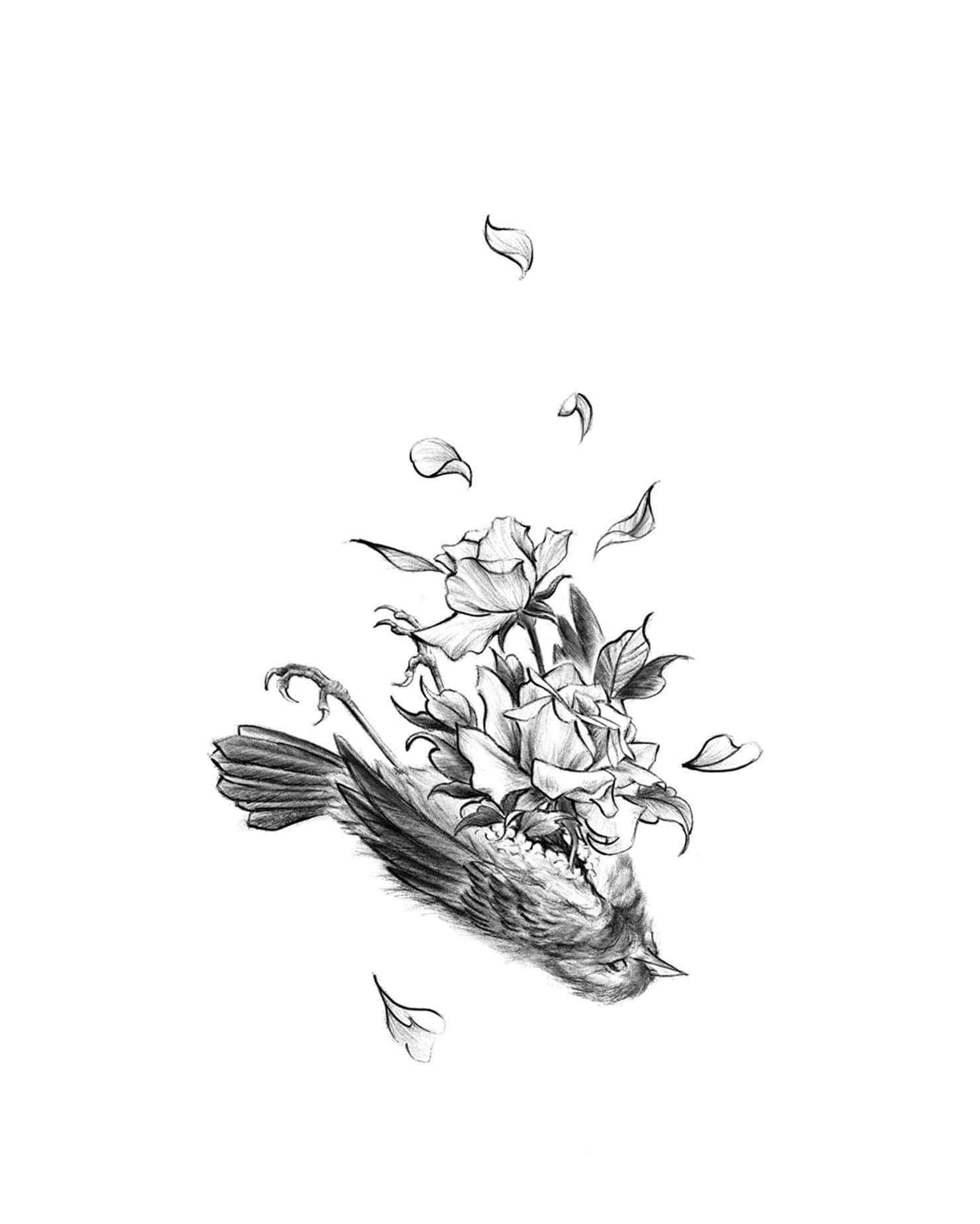 花鳥葬